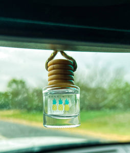 NEW! Summer Scent Car Diffusers